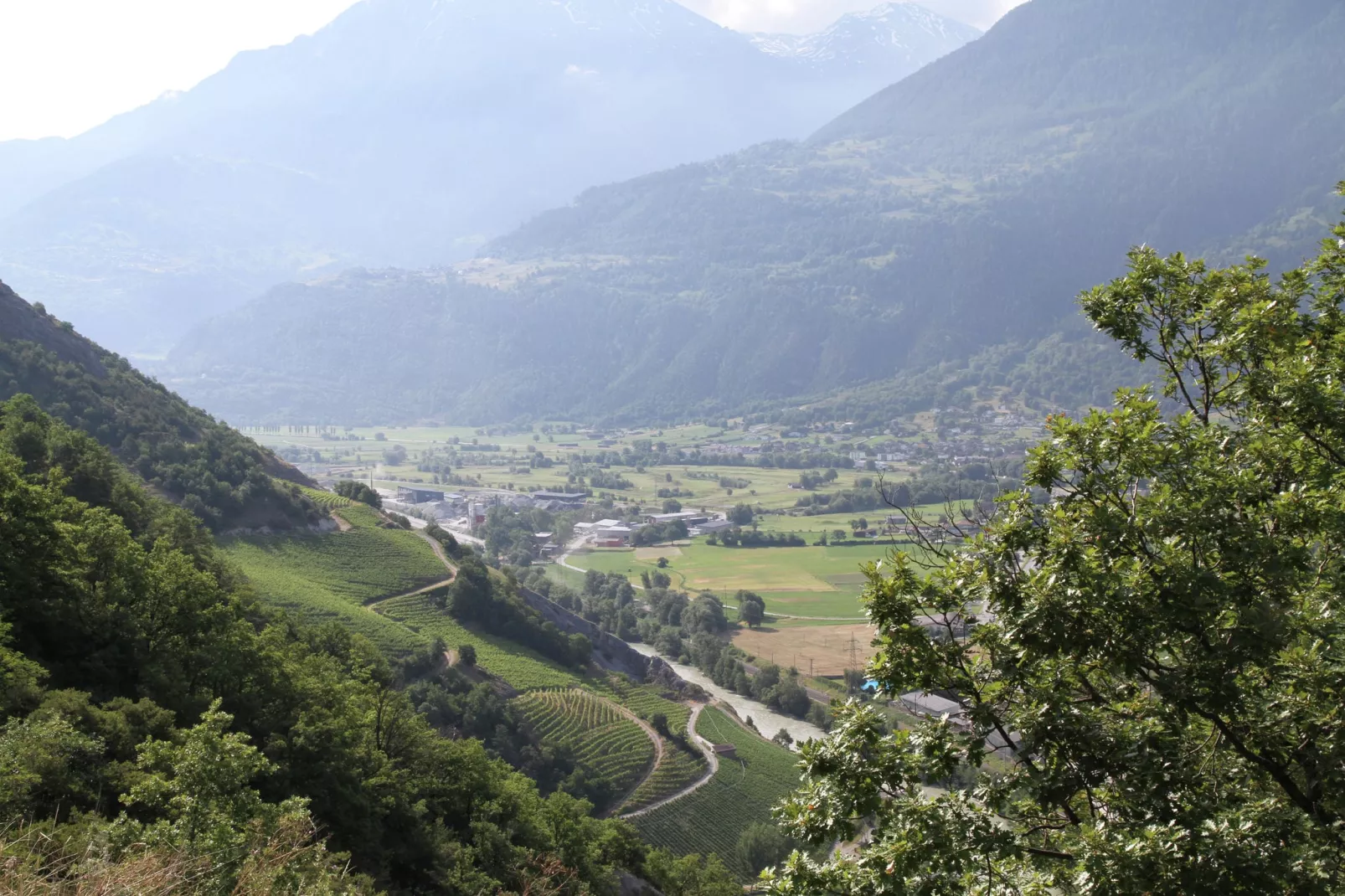 Zur Linde-View summer