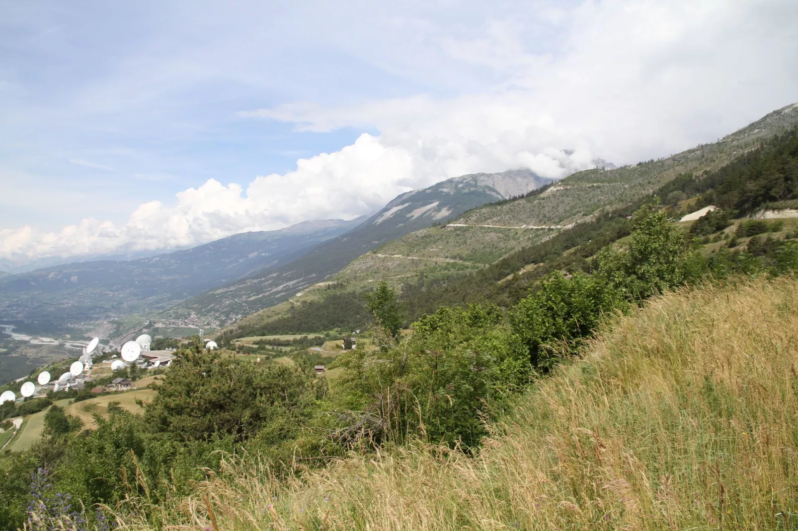 Zur Linde-Areas summer 5km