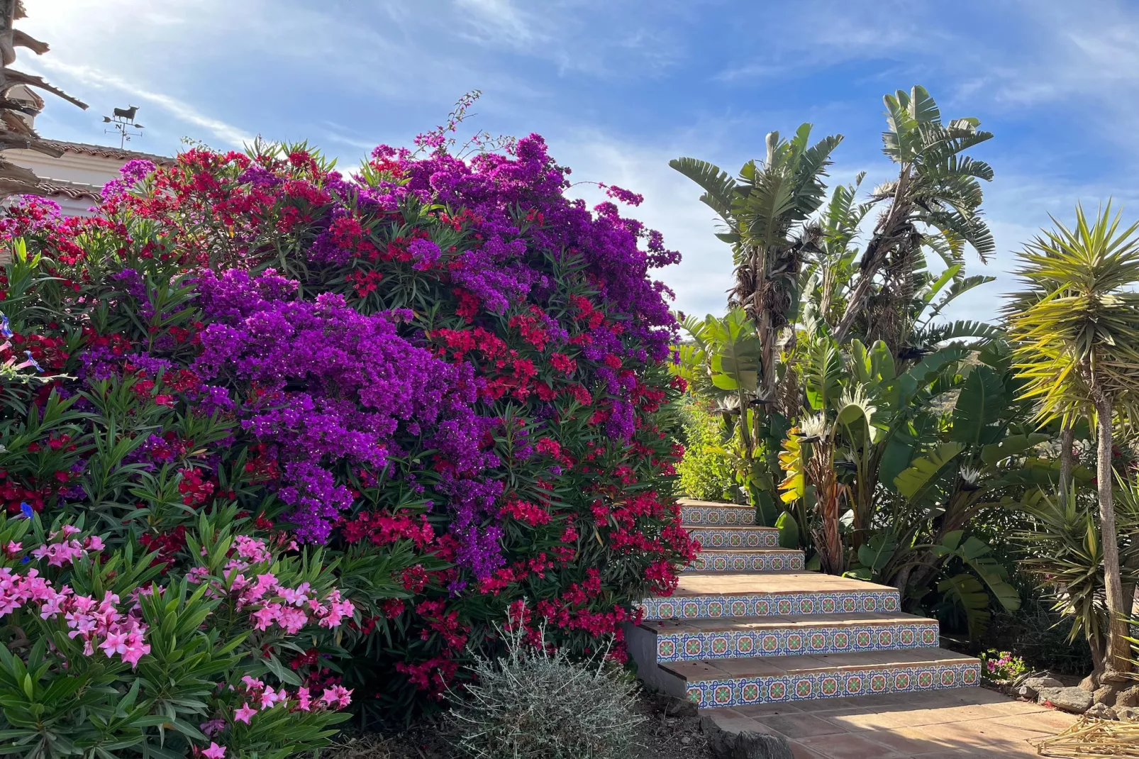 Las Casillas I   / 6 pers-Gardens summer