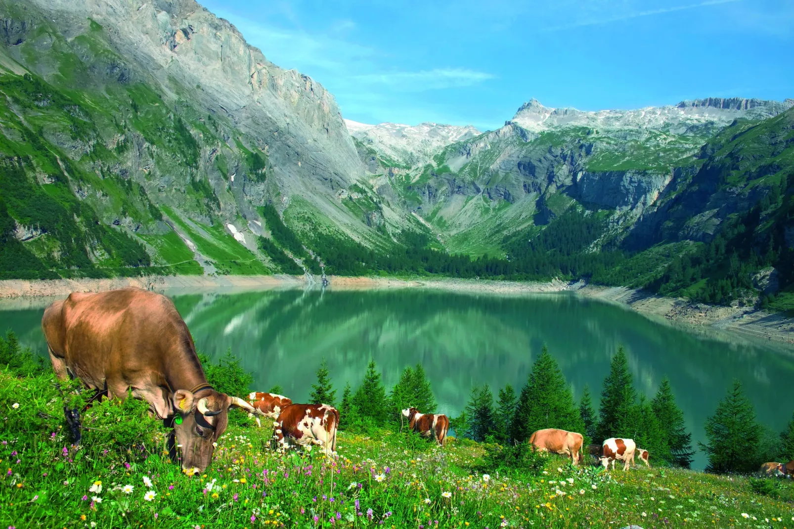 Zur Linde-Areas summer 20km