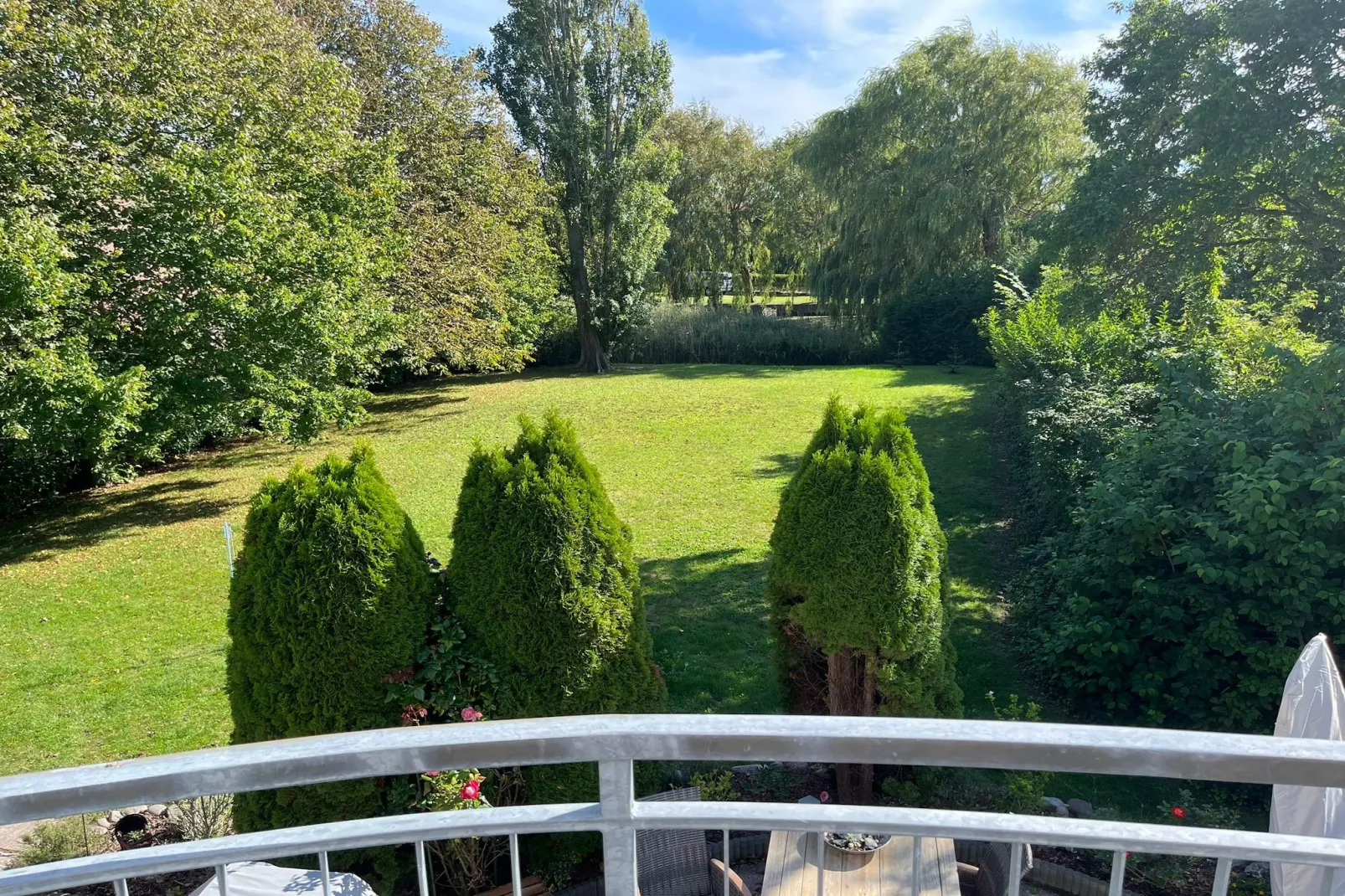 Bojendorf FehAmore 4 P-View summer