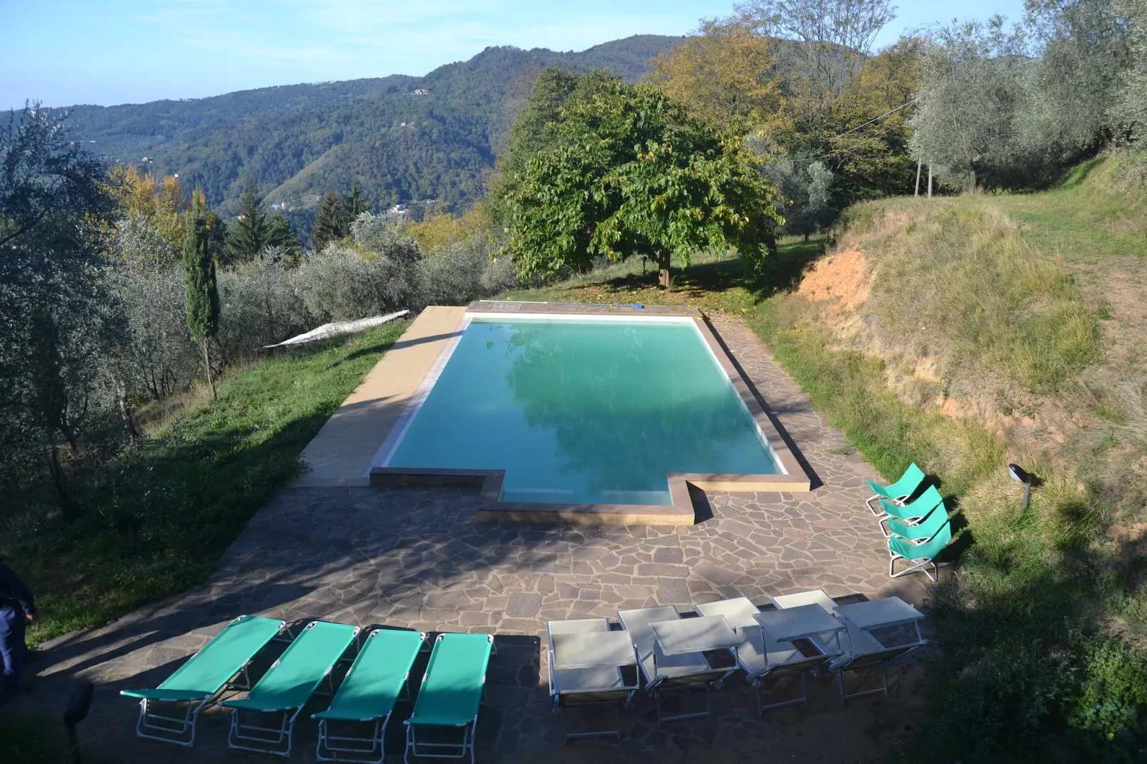 Nelverde 12-Pool