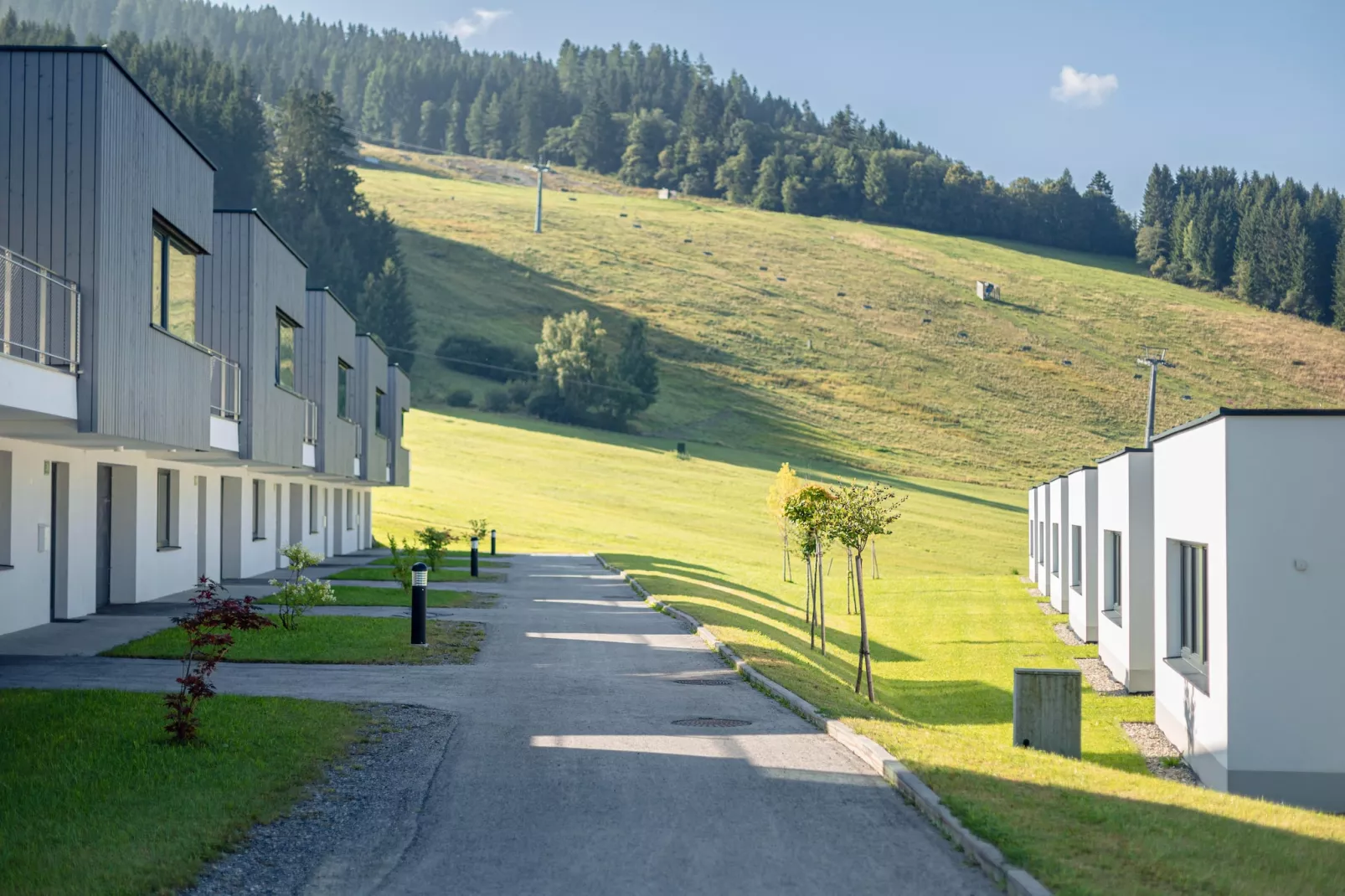 Naturpark Chalets 19-Vue d'été