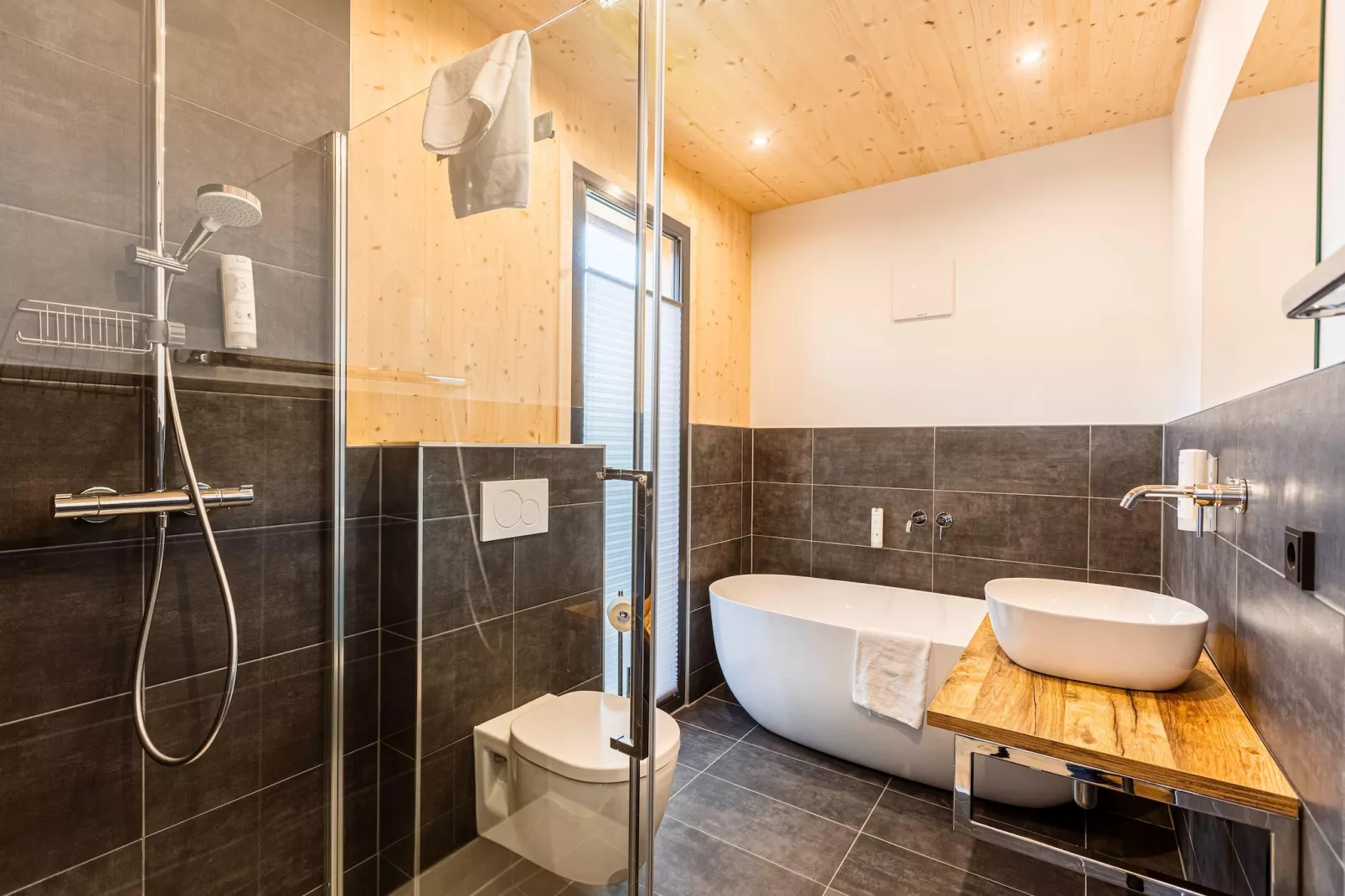 Kreischberg Pool Villen 1b-Bathroom