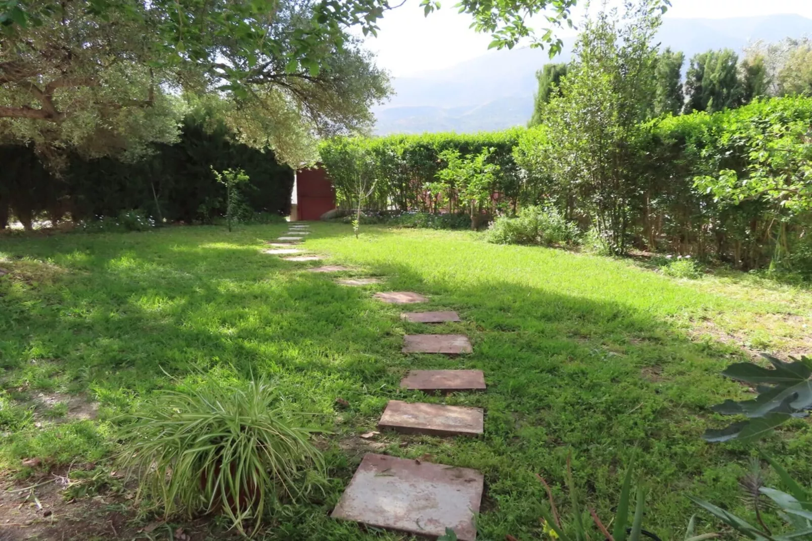 El Ensueno-Gardens summer