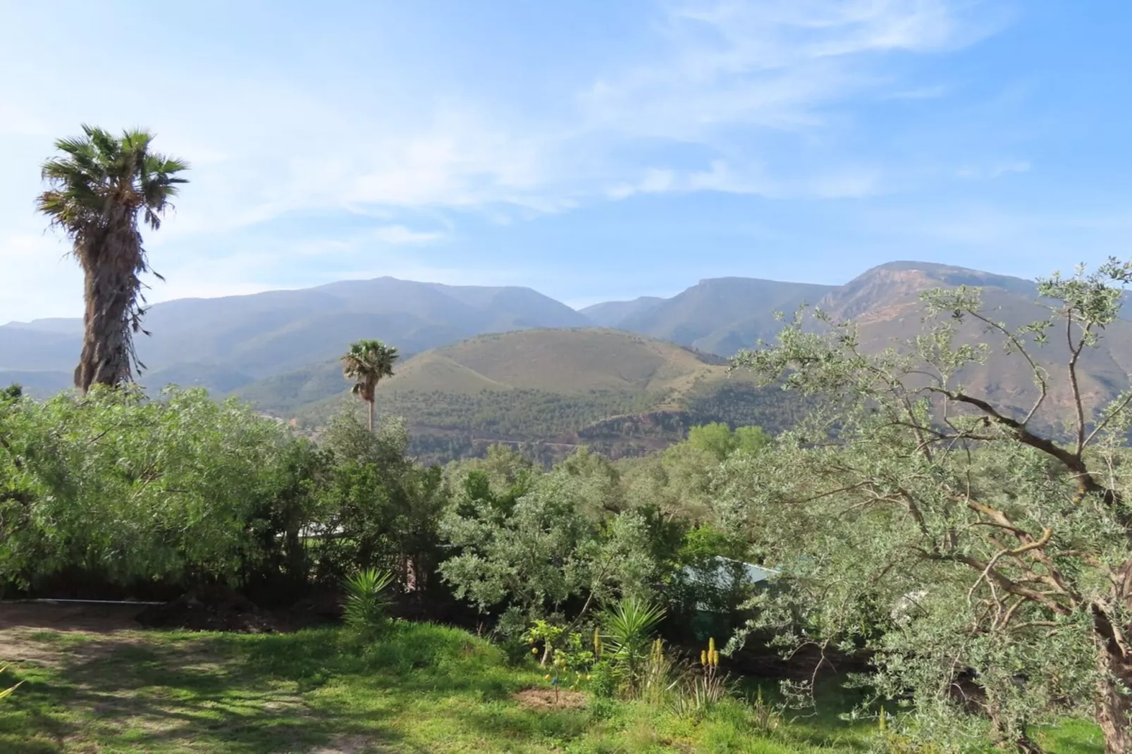 El Ensueno-View summer