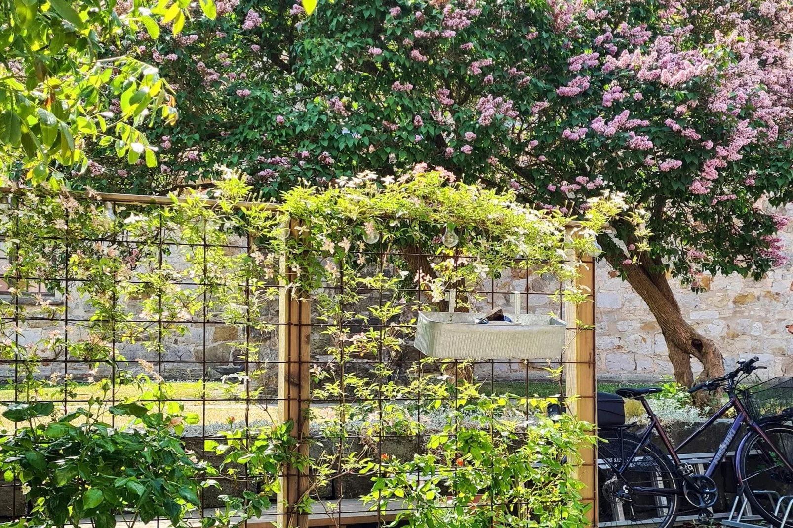 5 star holiday home in SIMRISHAMN-Outdoor