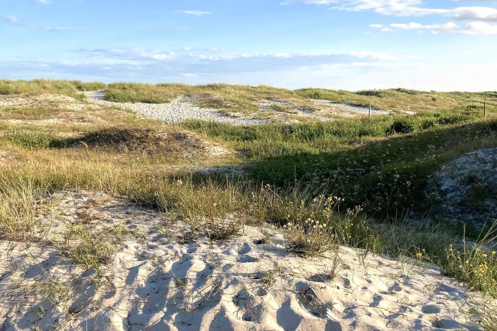 5 star holiday home in SIMRISHAMN-Not tagged