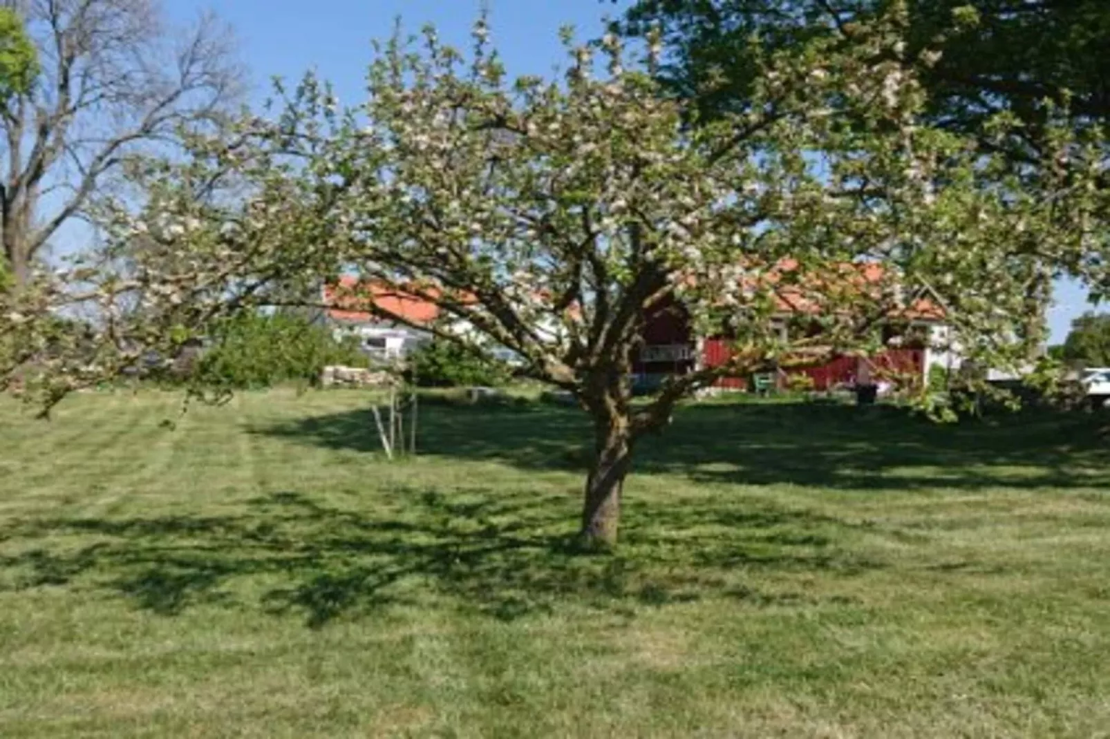 4 etoiles maison de vacances a MÖRBYLÅNGA-Extérieur