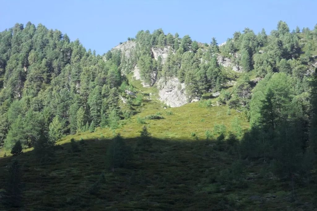 53049-Nicht getaggt