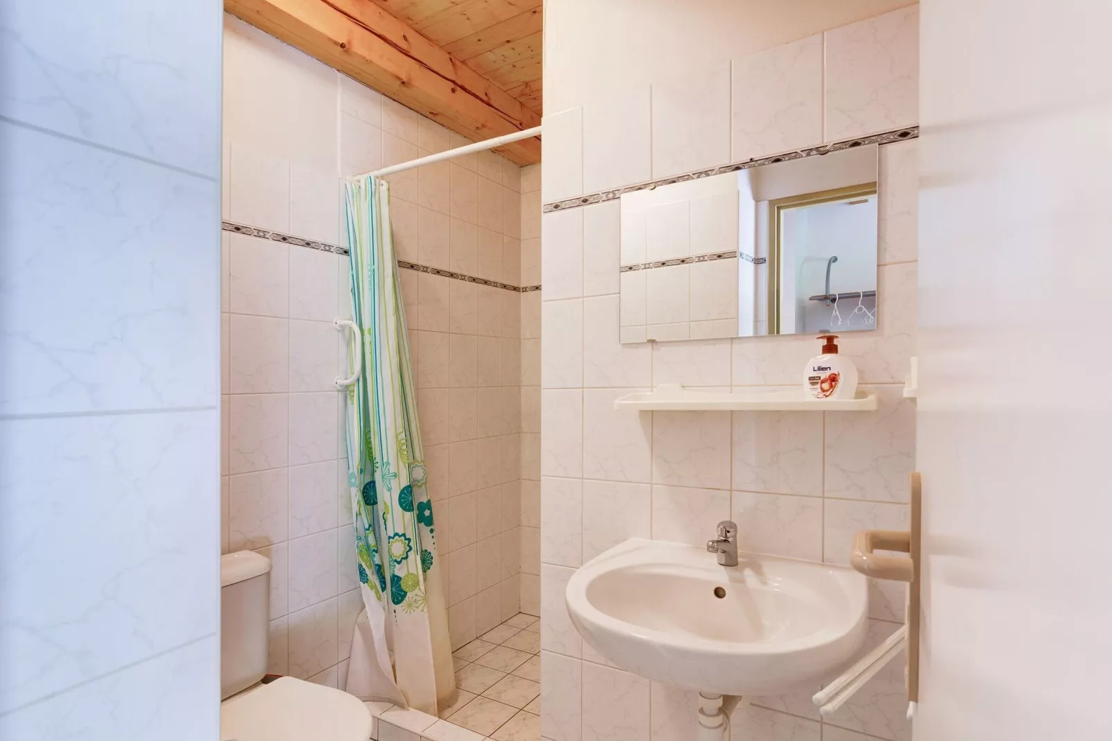 Chata no 6-Bathroom