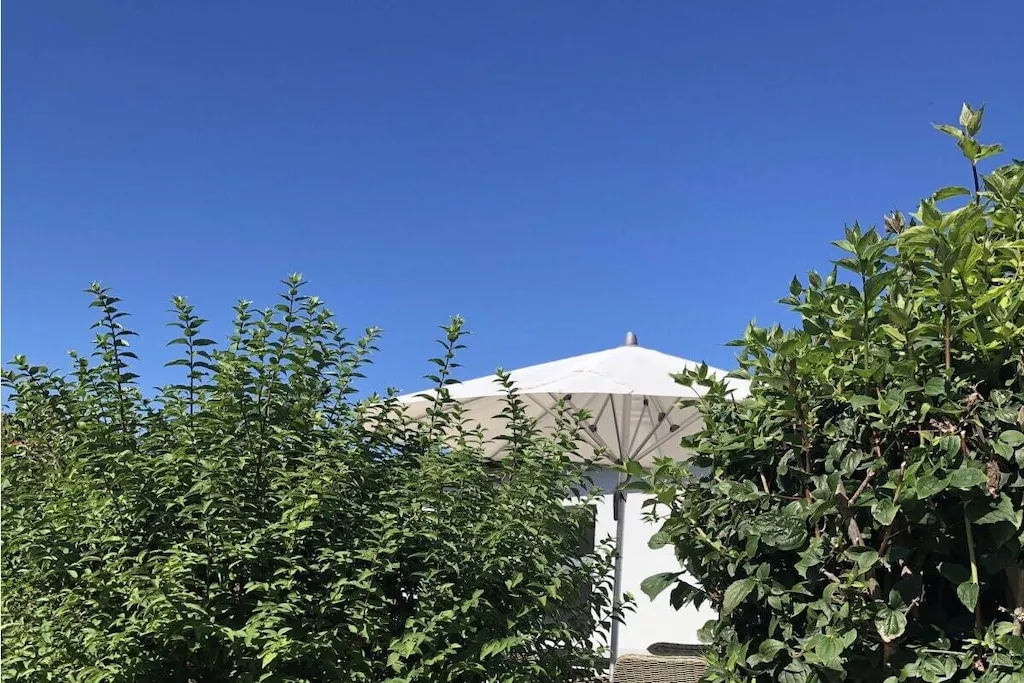 466917-Nicht getaggt