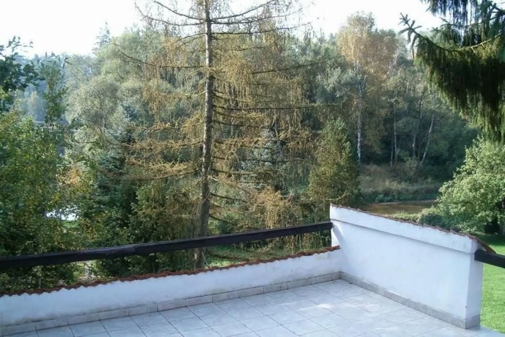 Villa Stastny-Exterior in summer