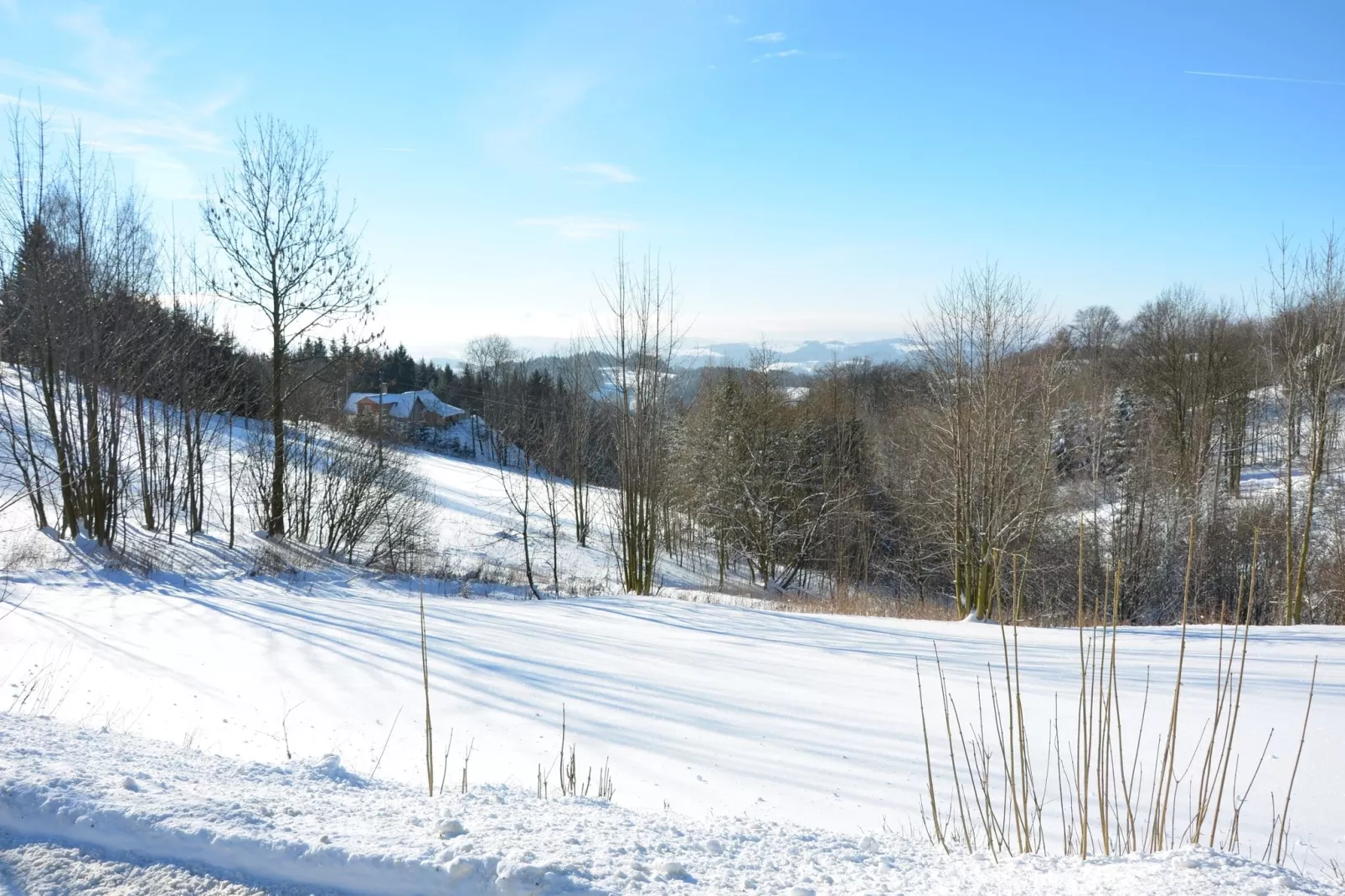 PEJA-View winter