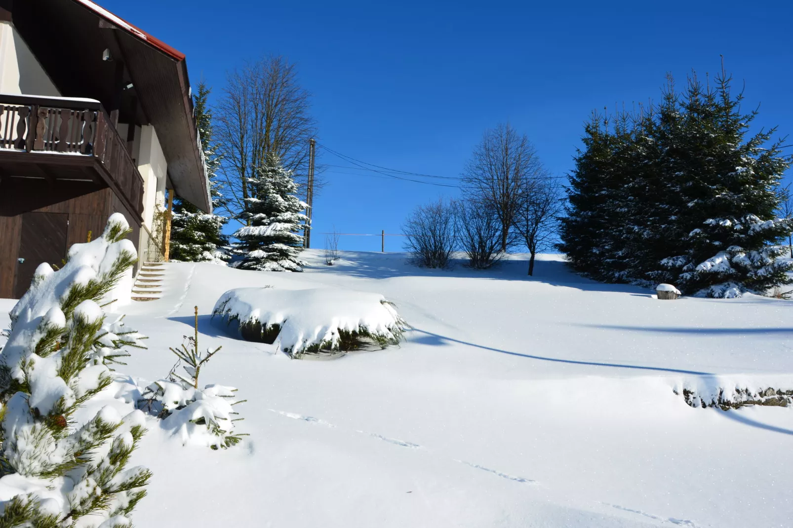 PEJA-Garden winter