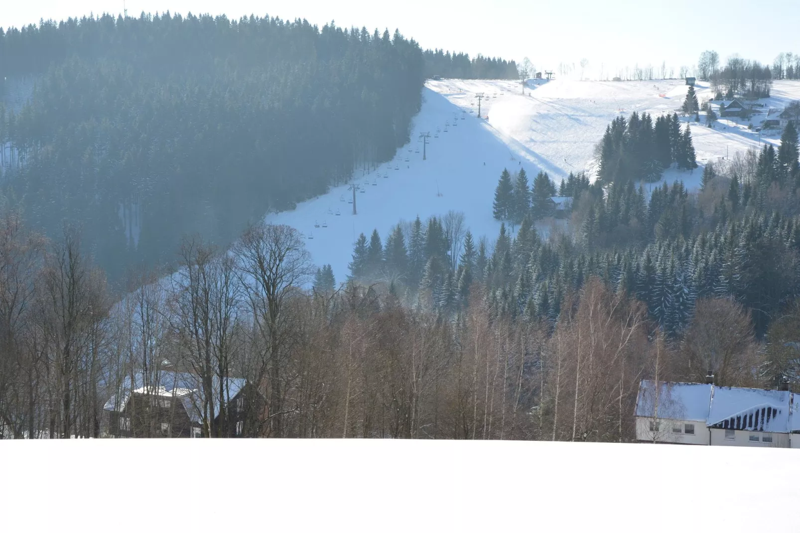 PEJA-Area winter 1km