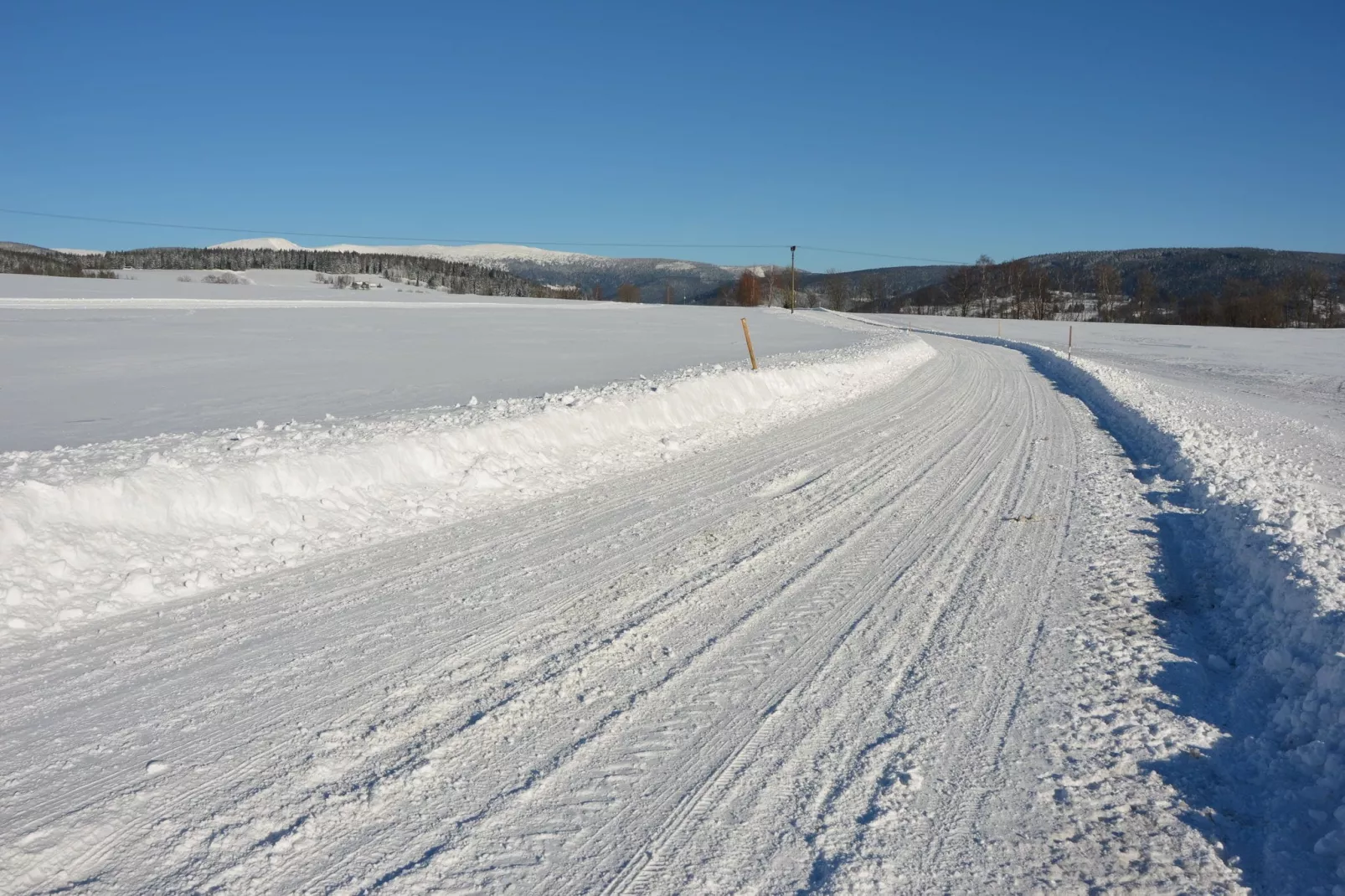 PEJA-Area winter 1km