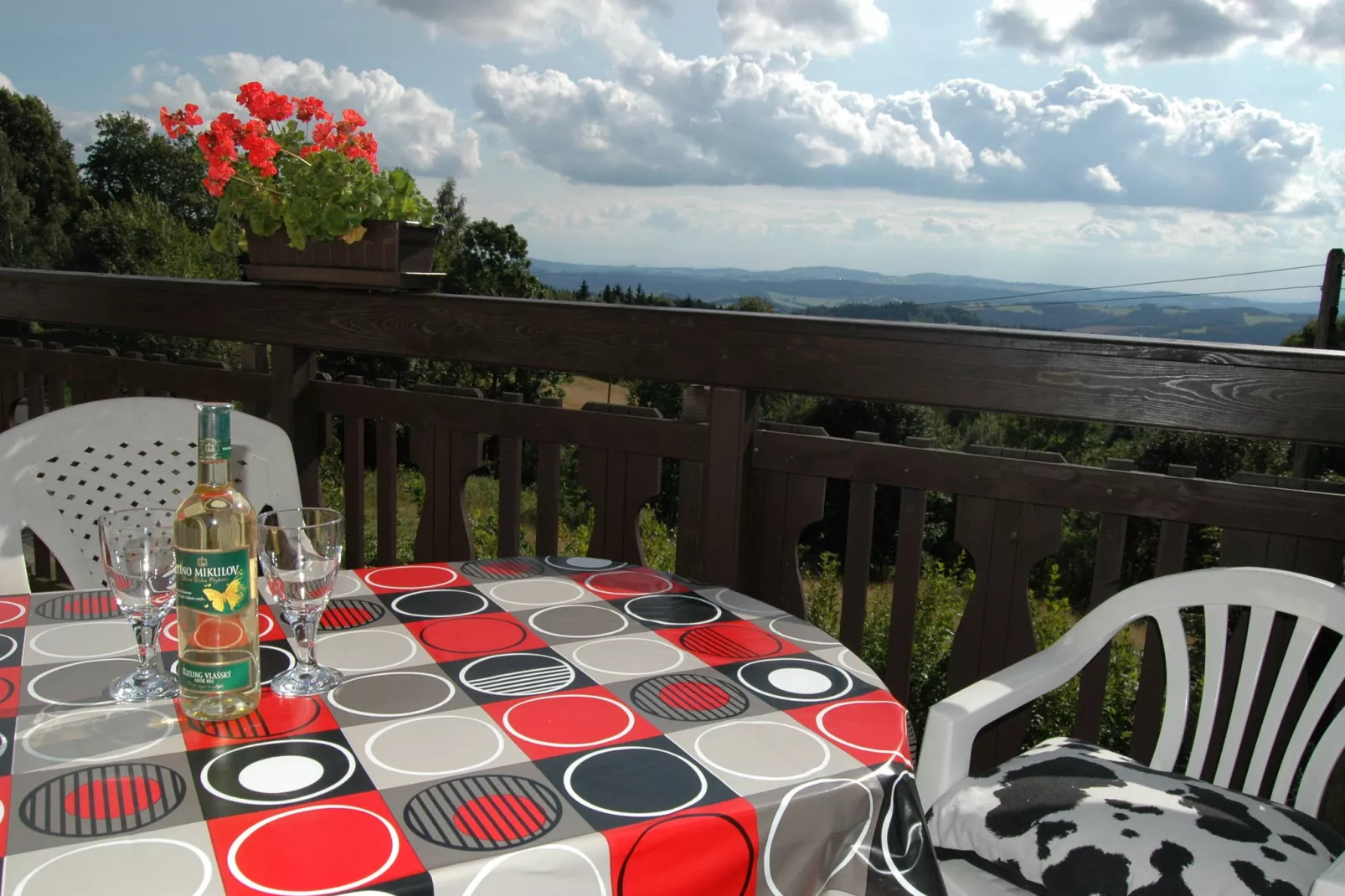 PEJA-View summer