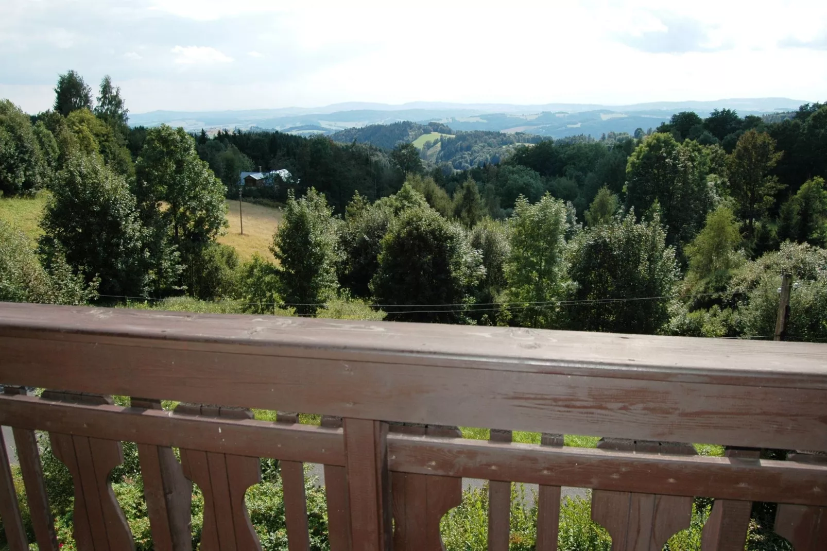 PEJA-View summer