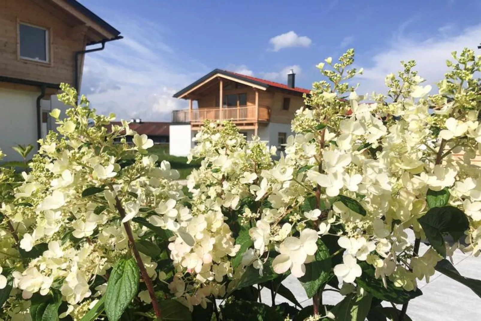 Chalet Falkenstein Inzell-Gardens summer
