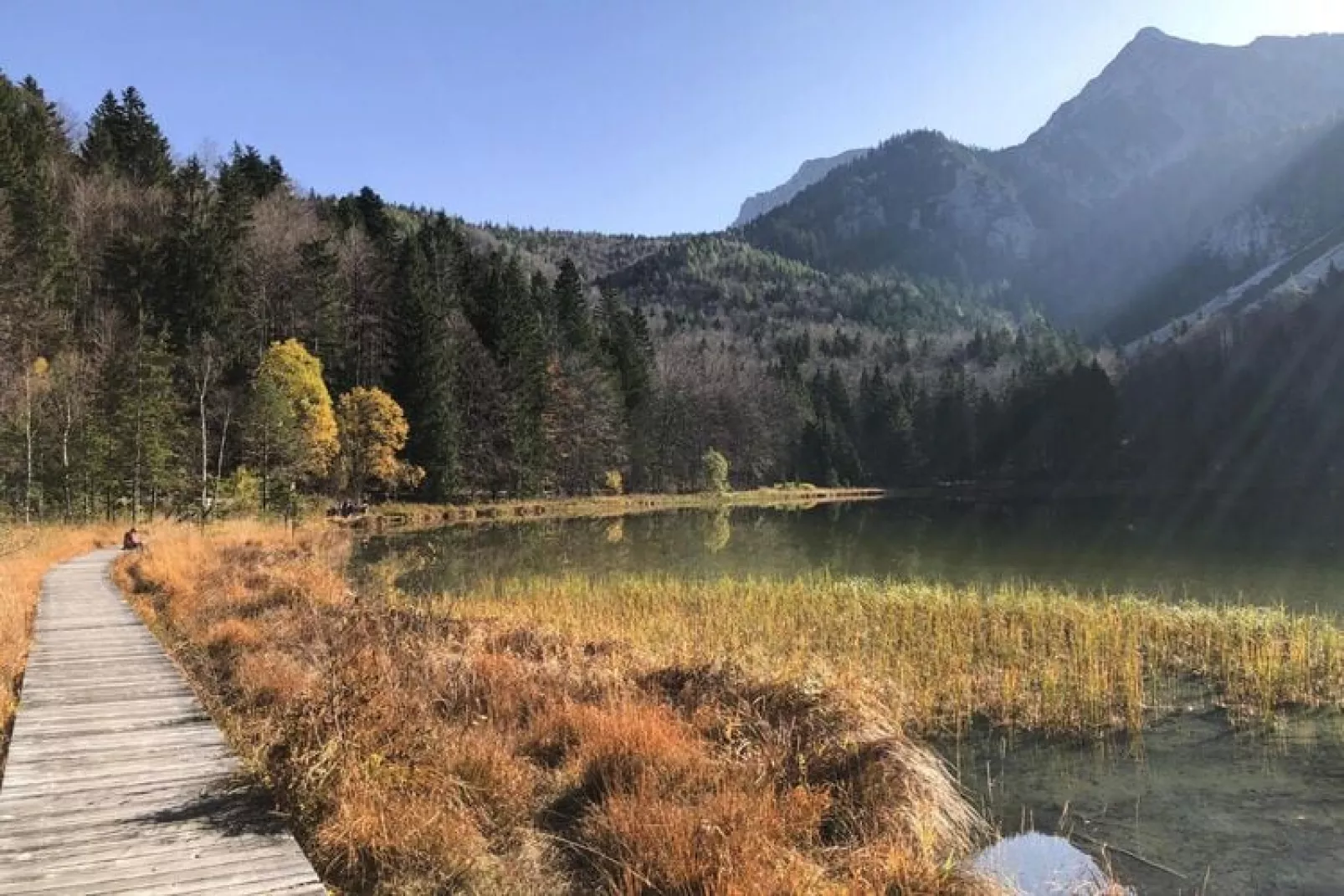 Chalet Falkenstein Inzell-Areas summer 5km
