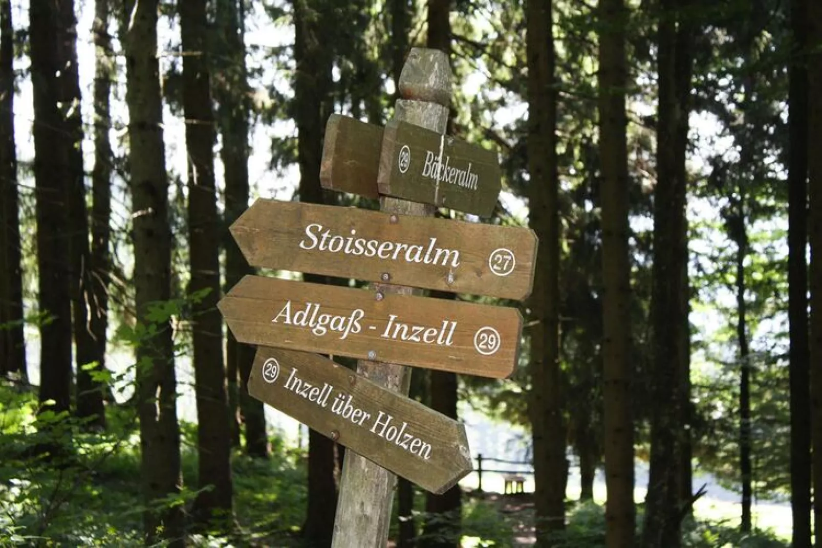 Chalet Falkenstein Inzell-Exterior summer