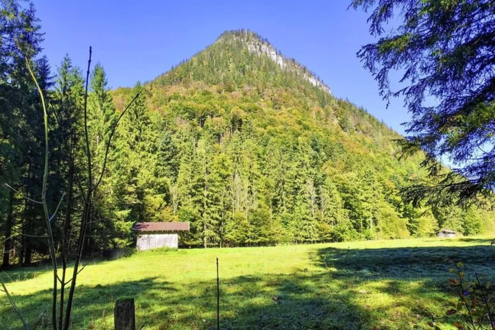 Chalet Falkenstein Inzell-View summer