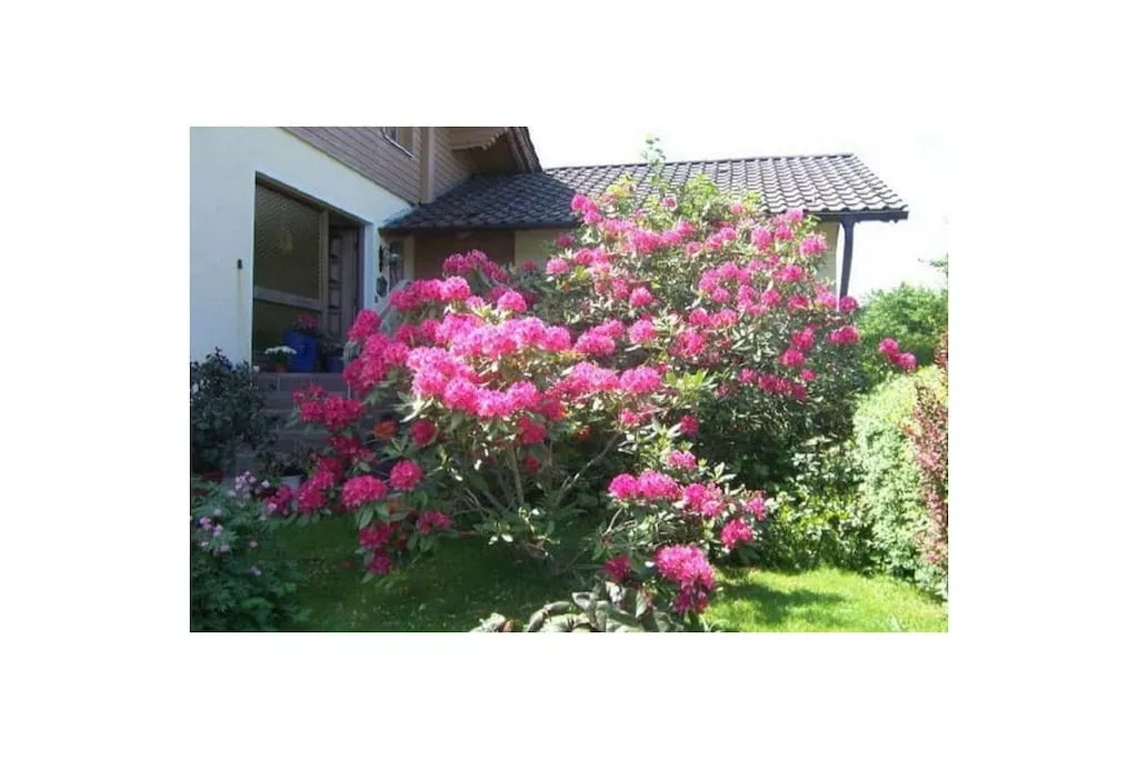 55219-Nicht getaggt