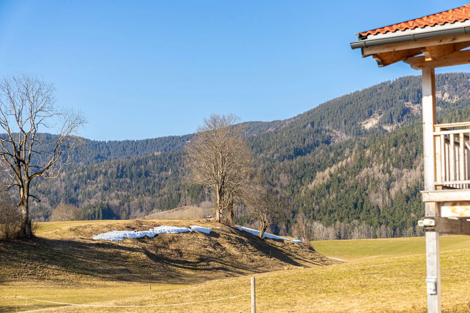 Chalet Charivari Inzell-View summer