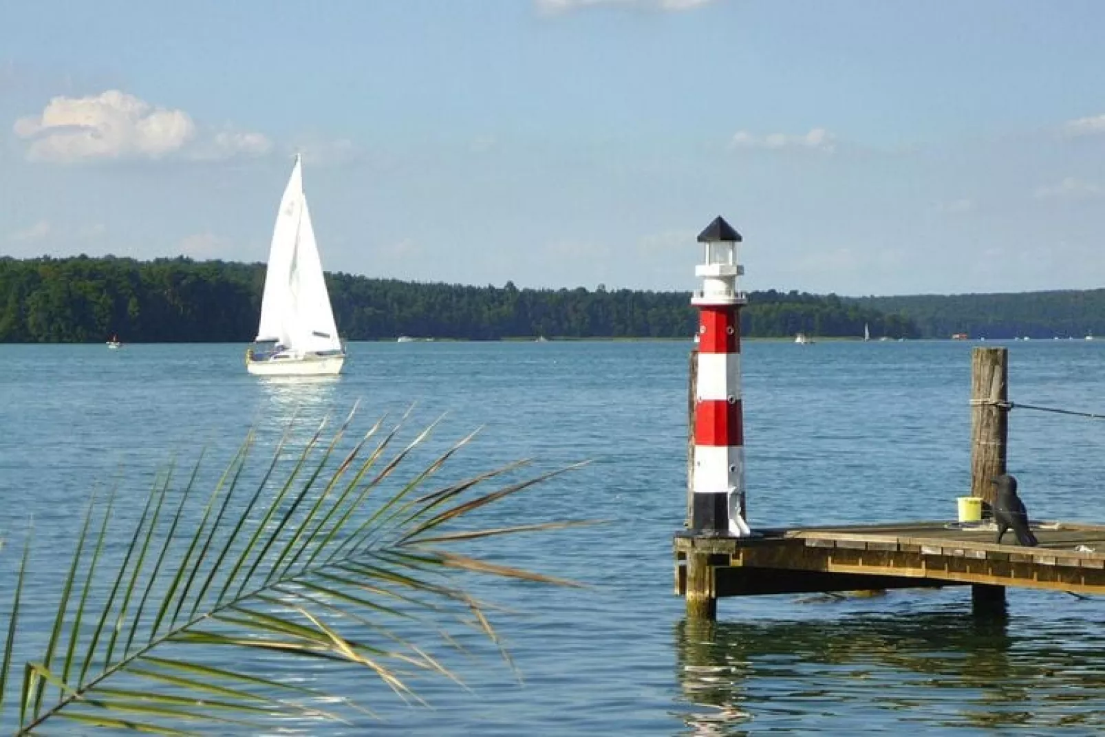 Waldhaus 300 qm-Gebiete Sommer 1 km
