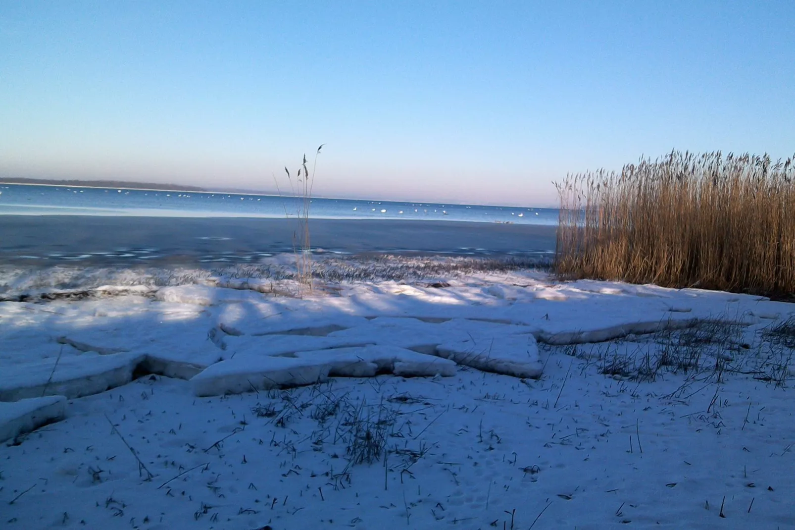 Windspiel-Area winter 1km