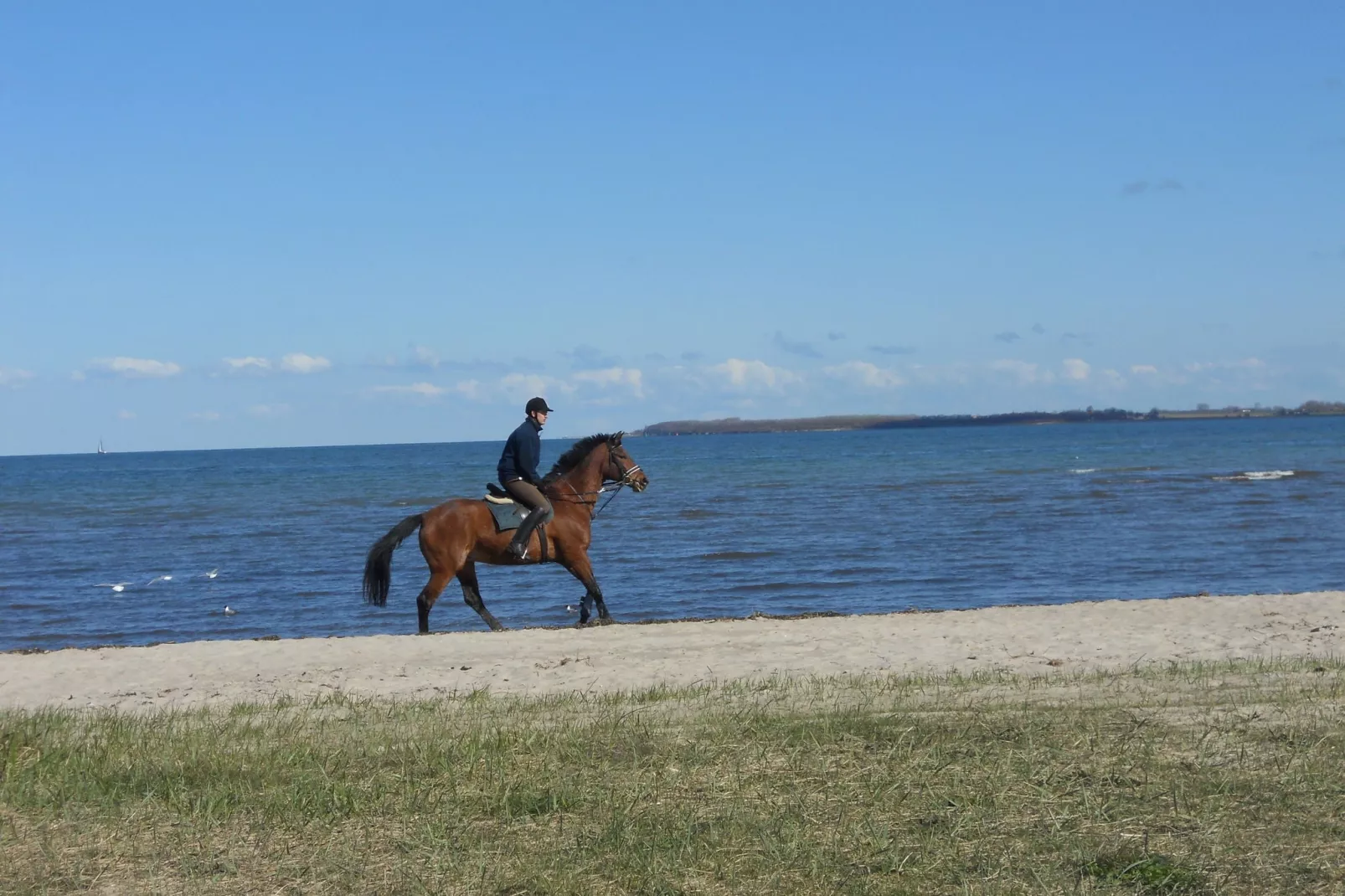 Windspiel-Areas summer 20km