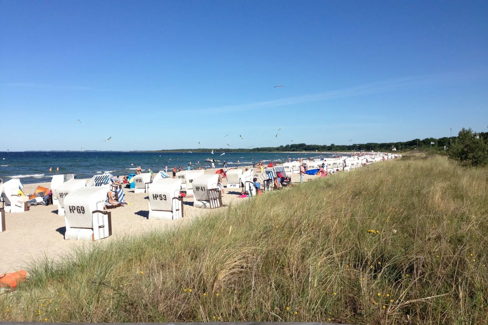 Windspiel-Areas summer 20km