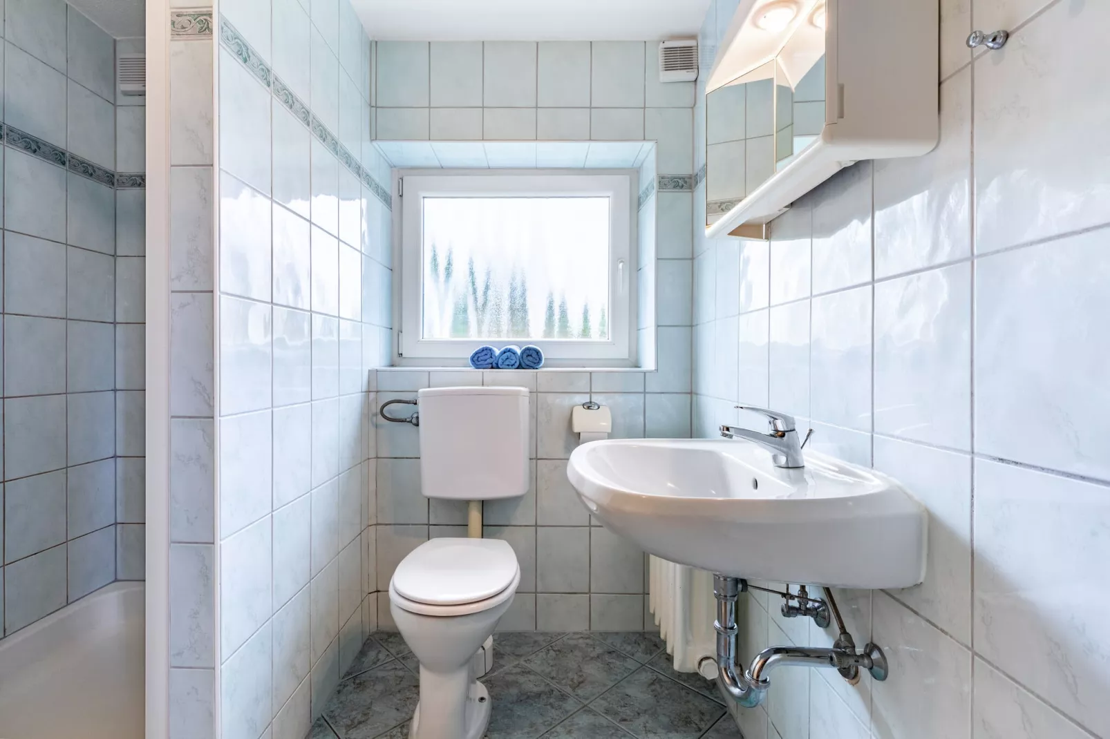 Wiesenblick-Badezimmer
