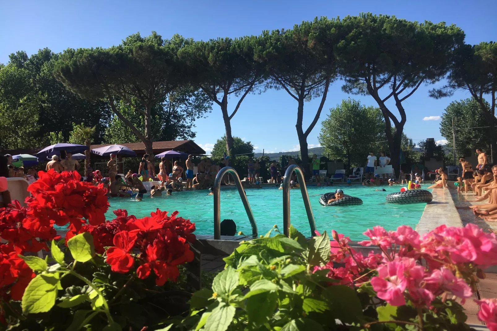 Camping Punta Navaccia 1 - MH Standard-Pool