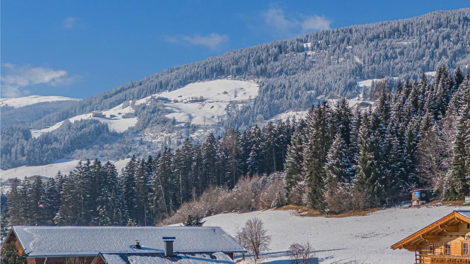 Premium Apartment Wildkogel-Gebiet Winter 1 km