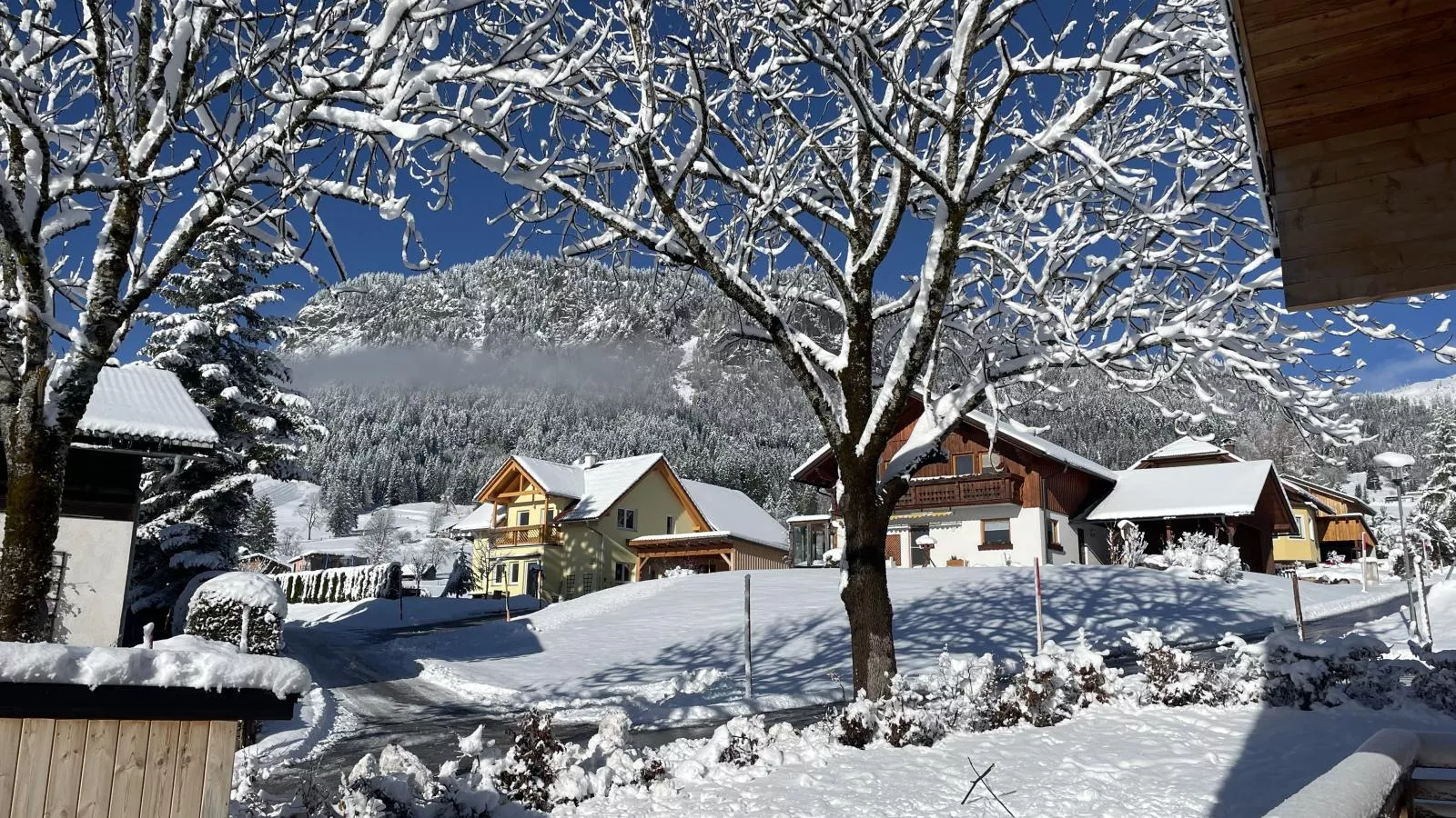 Holzchalet Tauplitz-Garten Winter