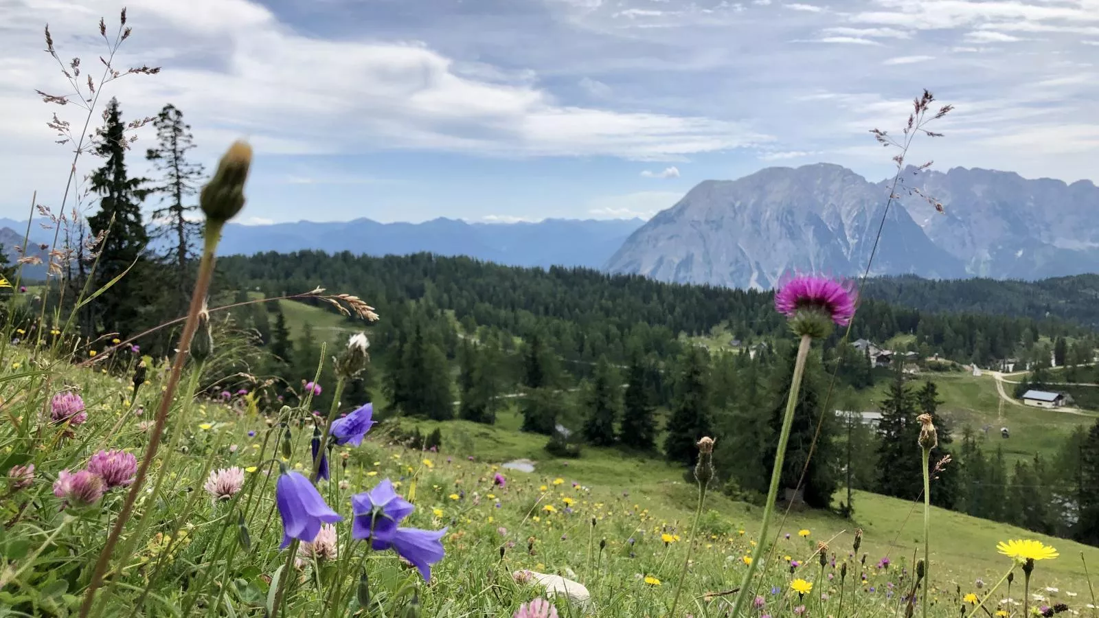 Holzchalet Tauplitz-Gebiete Sommer 5 km