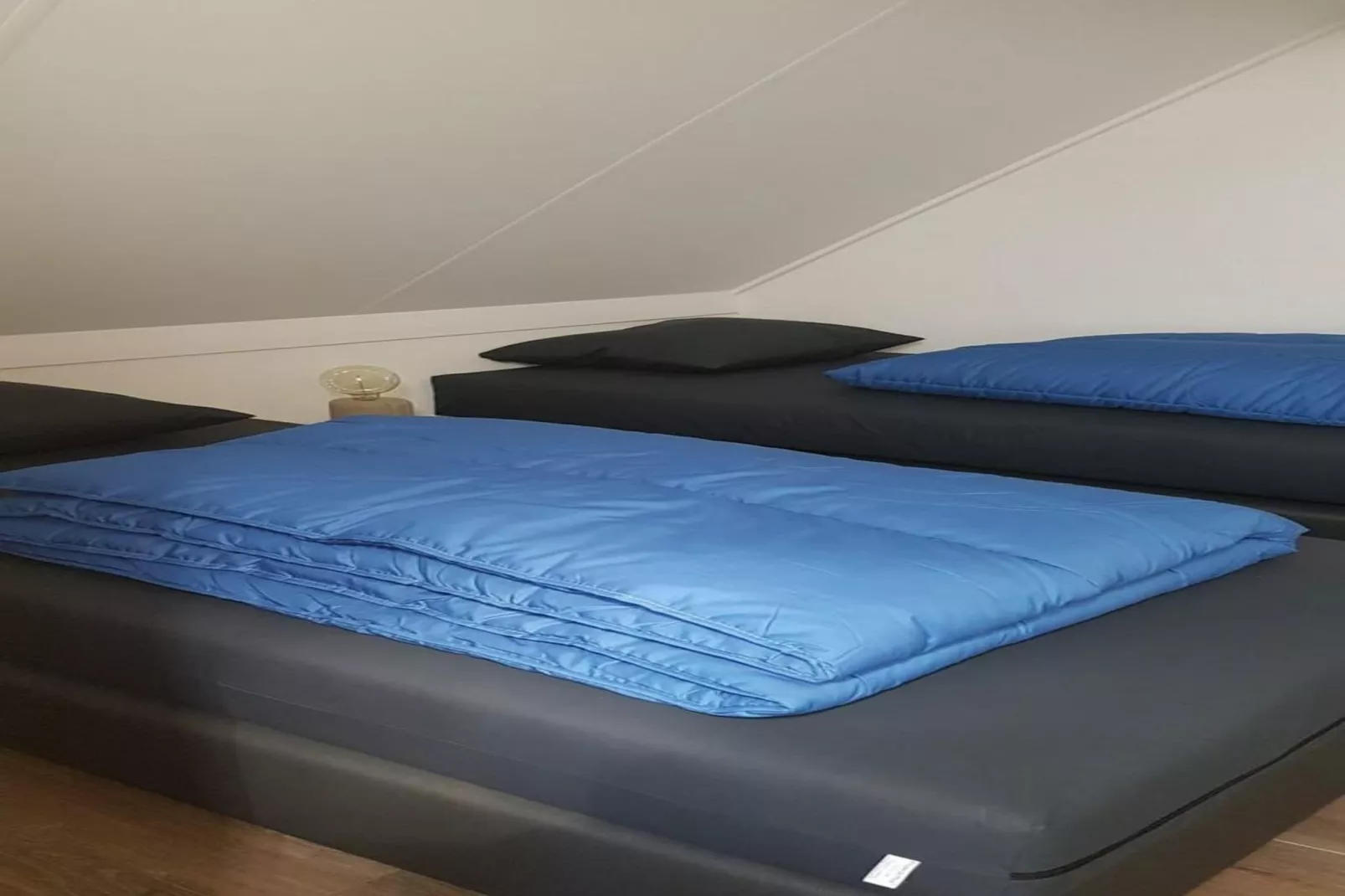 Scheldeveste 228 Zwin Breskens-Gym