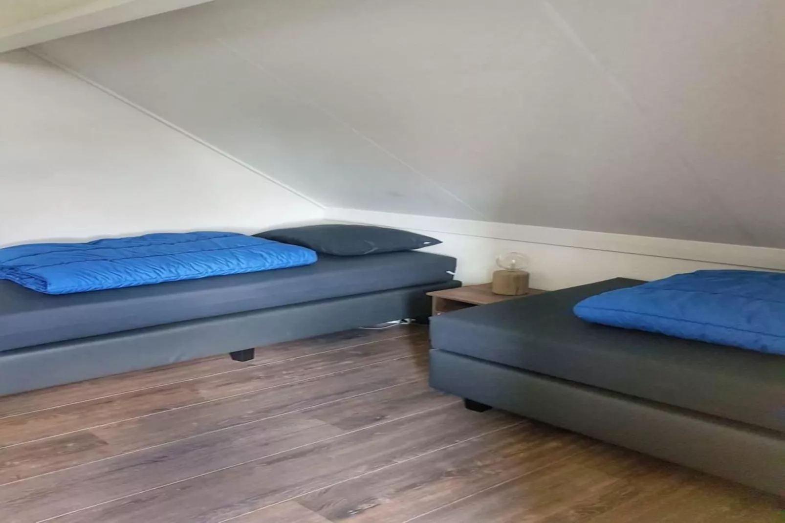 Scheldeveste 228 Zwin Breskens-Gym