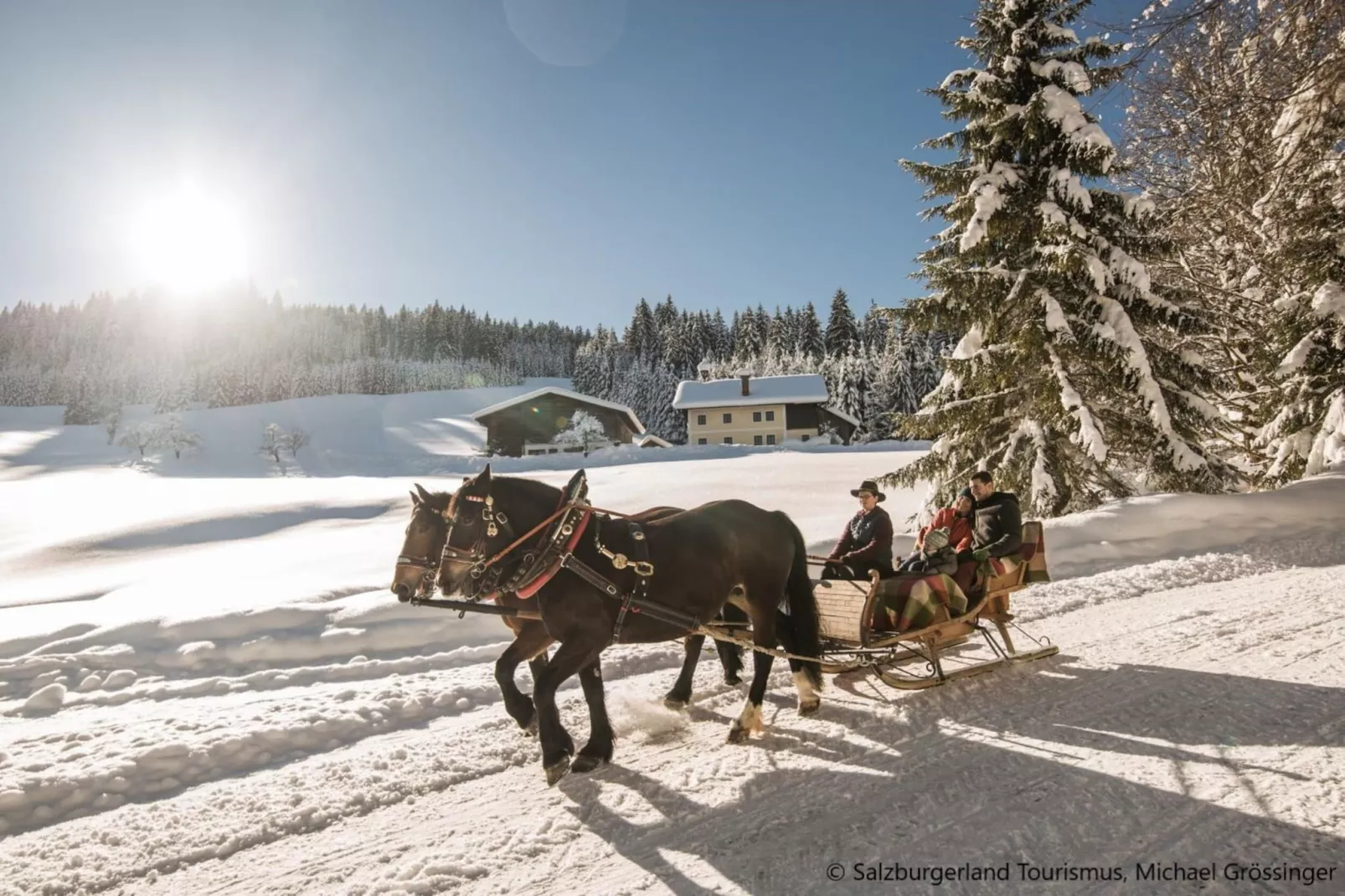 Hideaway Dachstein West 8-Area winter 20km