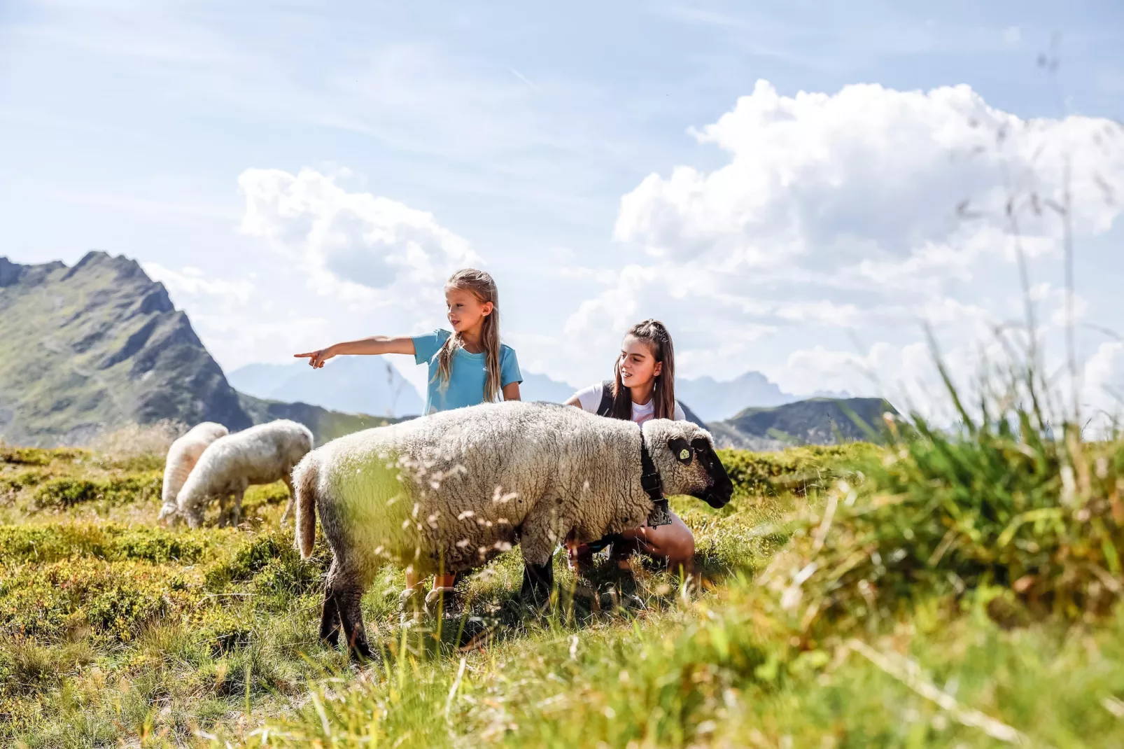 Ferienhaus Alpen Apart - 6 Personen-Gebiete Sommer 5 km