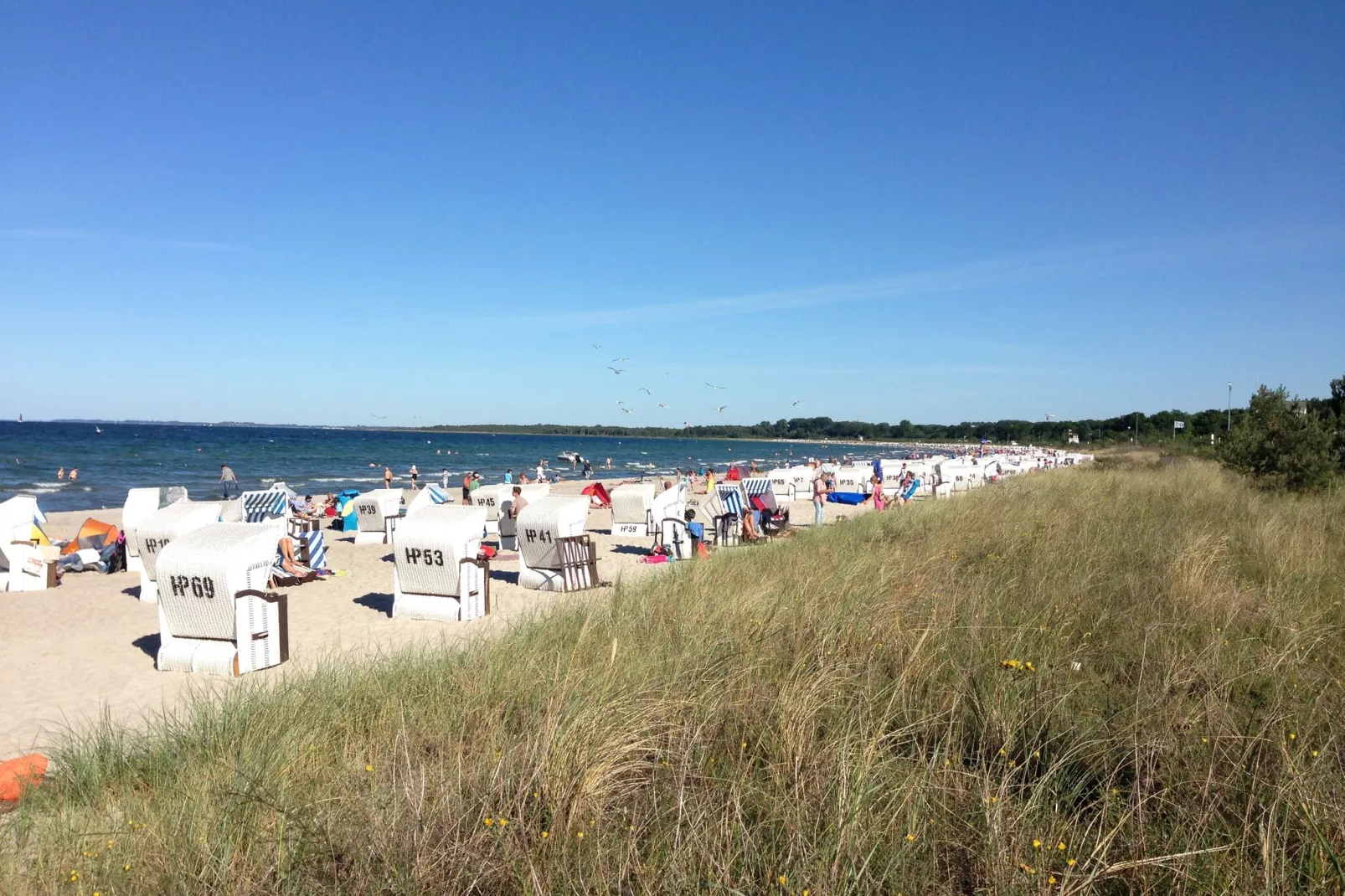 Störtebeker-Areas summer 1km