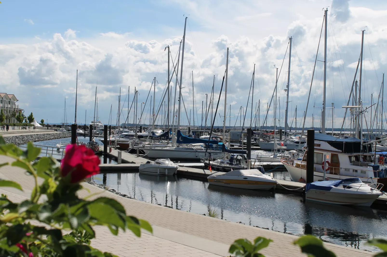 Störtebeker-Areas summer 20km