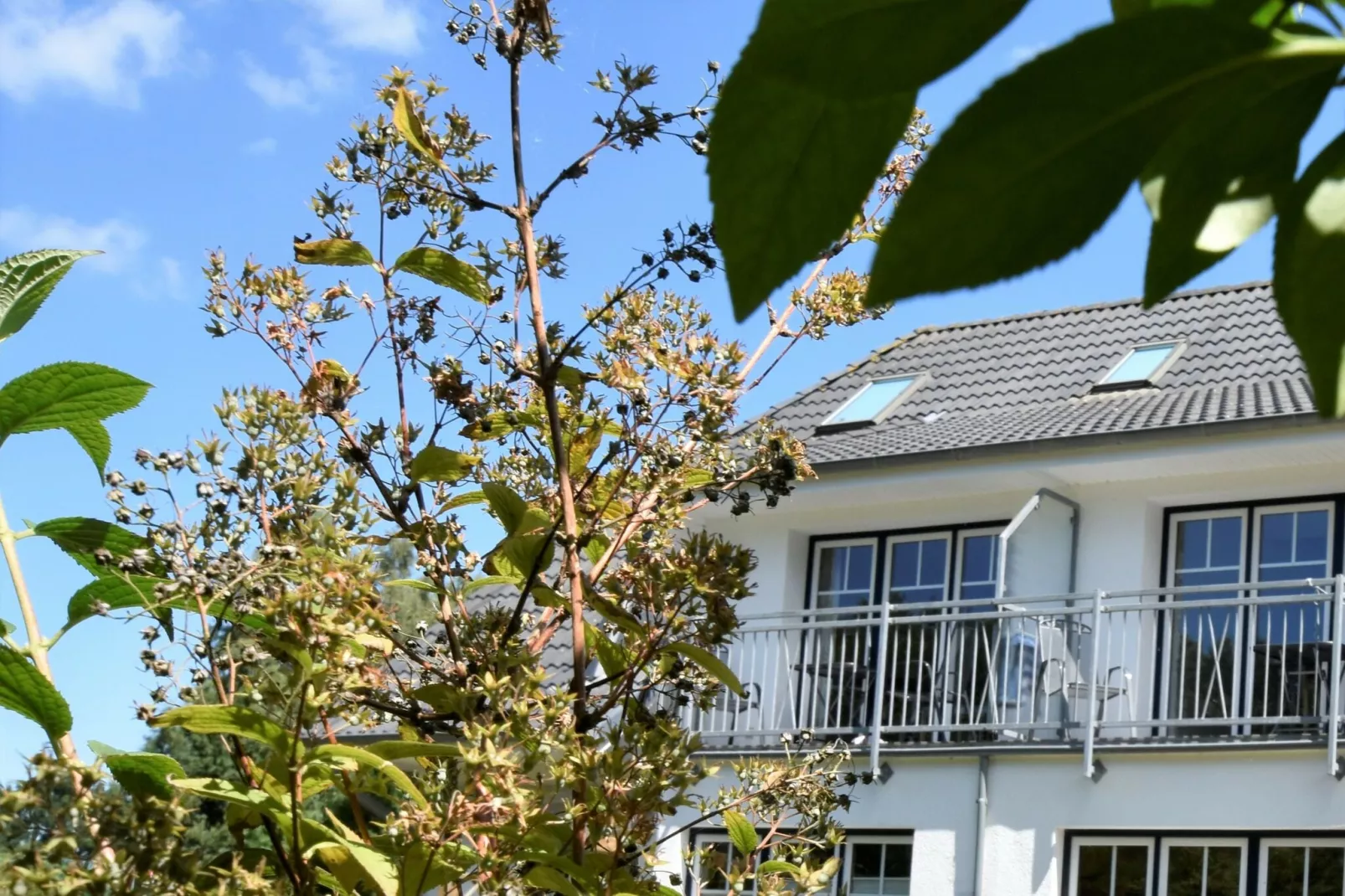 Bernstein mit Balkon am Sandstrand-Exterior summer