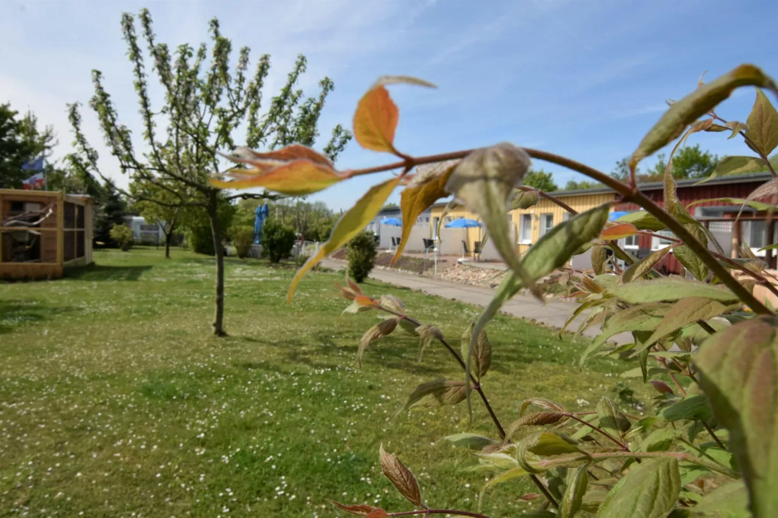Kranich 5-Gardens summer