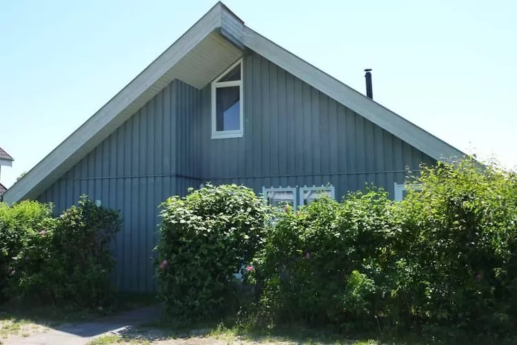Ferienhaus Seeschwalbe-Classic 90 qm 8-Exterior summer
