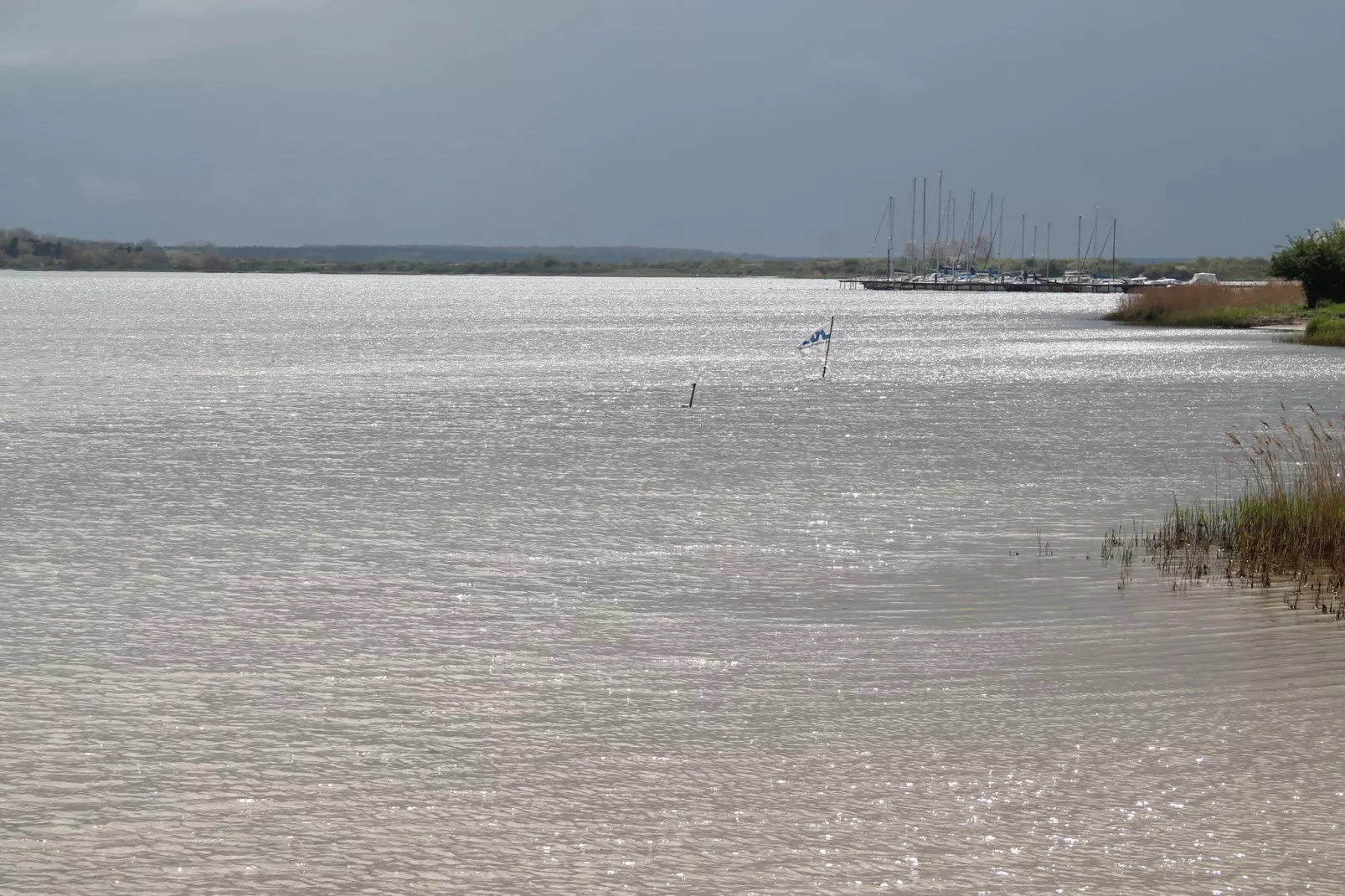 Eisente 4-Areas summer 5km