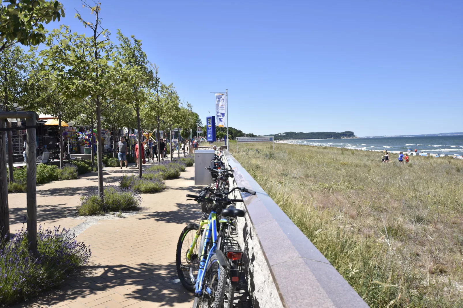 Eisente 4-Areas summer 1km