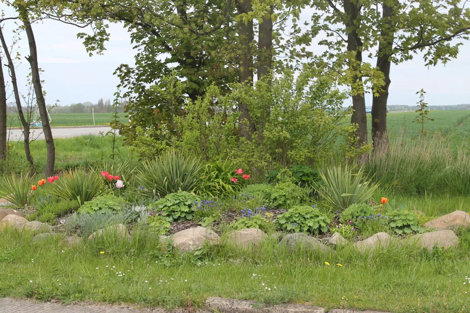 Seeadler 6-Gardens summer